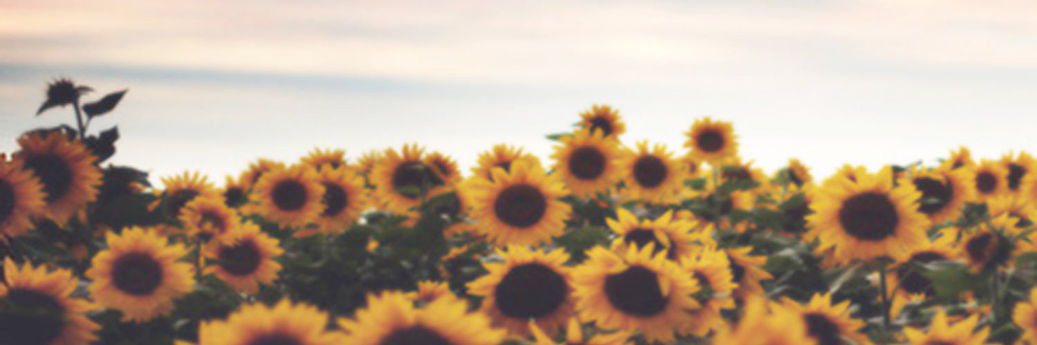 SamanthaaKay's profile banner image