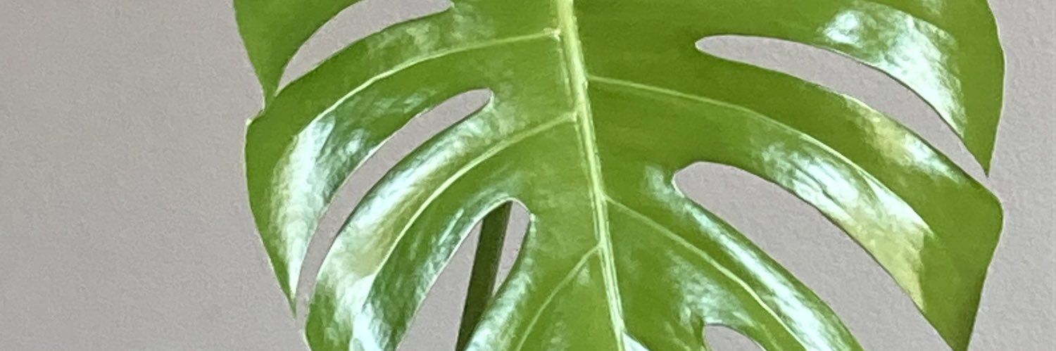 WillaRadical's profile banner image