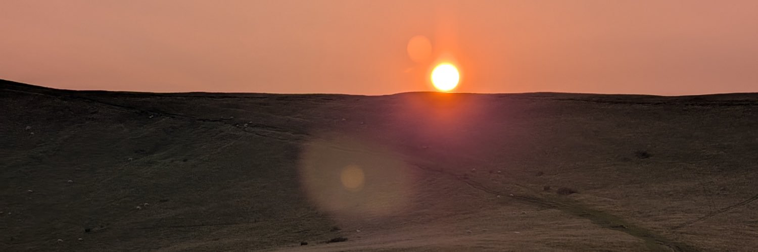 rees397's profile banner image