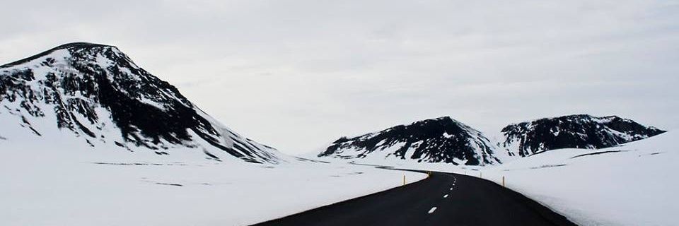 nvrgvp banner