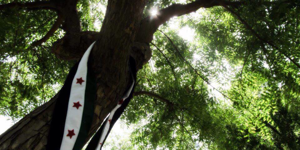 CeftaliNisa's profile banner image