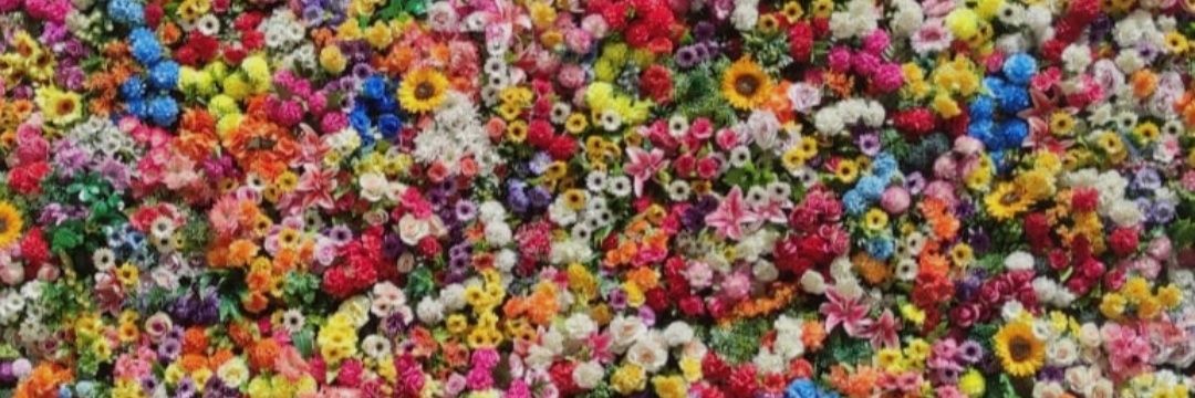 BaptistineG's profile banner image