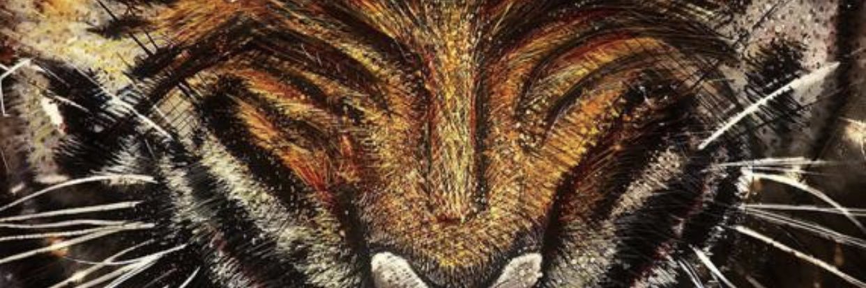 jn_nune's profile banner image