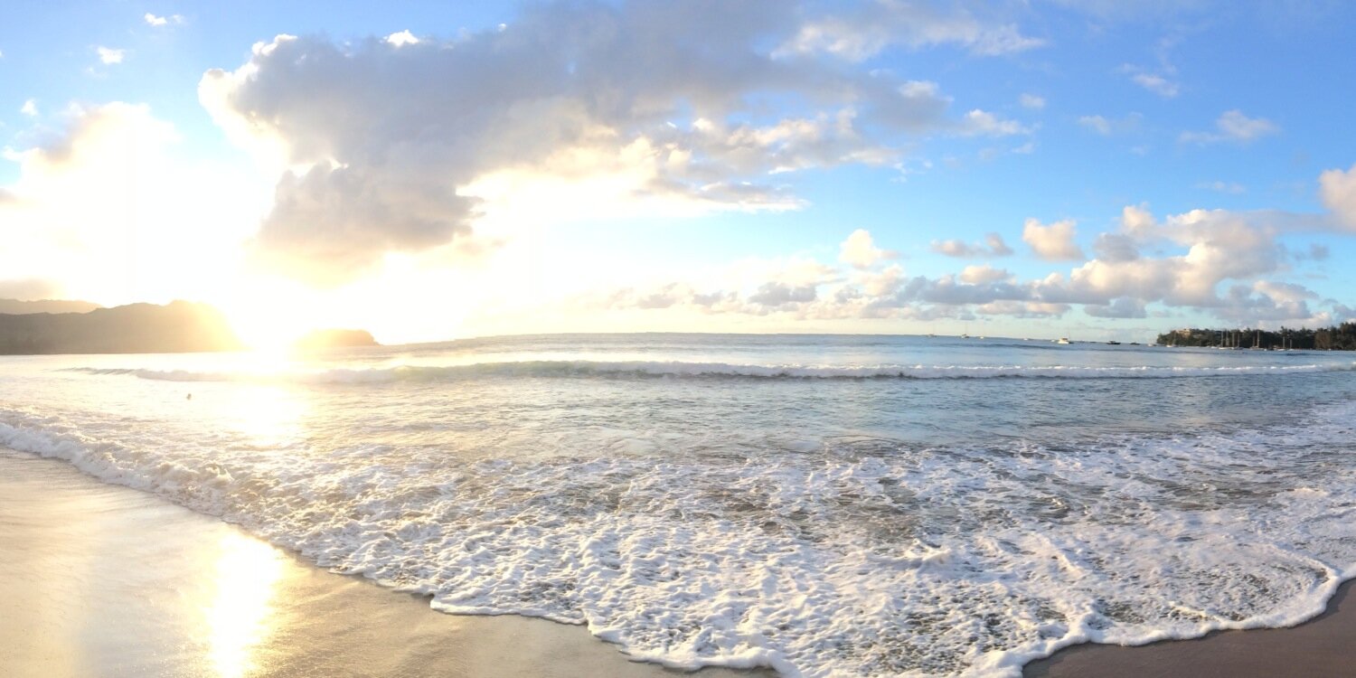 ashley_ferry9's profile banner image