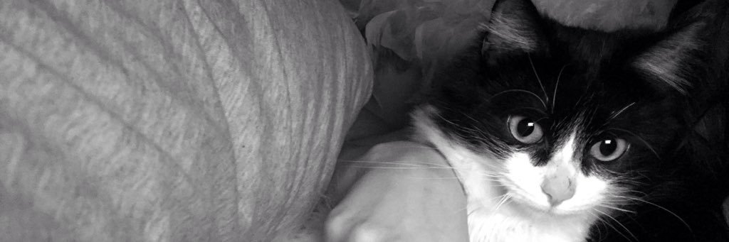 CHVRLIE's profile banner image
