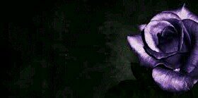 _nda22's profile banner image