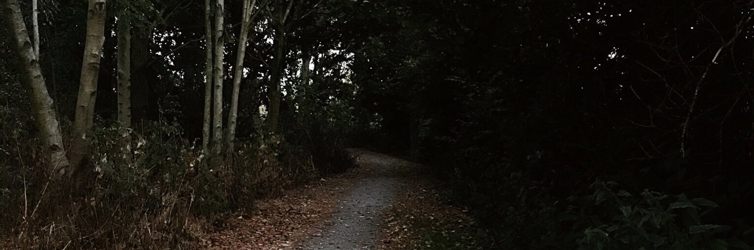 MissxMiri's profile banner image