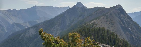 edithvdBoom Profile Banner