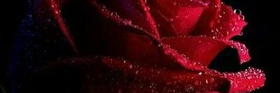 delfo gonzalez banner