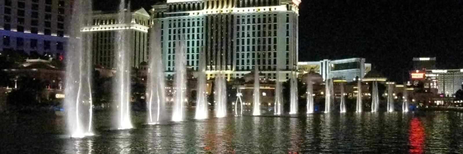 lobbybitch's profile banner image