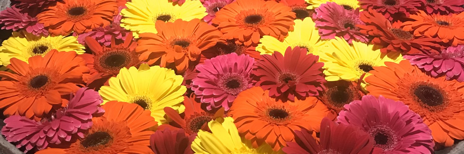 debdeb_87's profile banner image