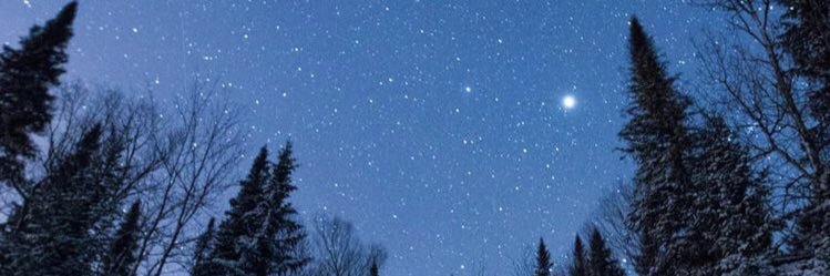 Kelsenator's profile banner image