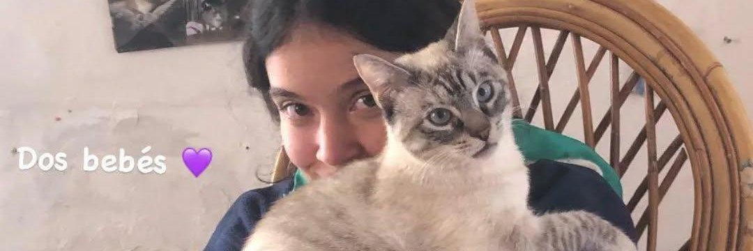 juliatorregrosa's profile banner image