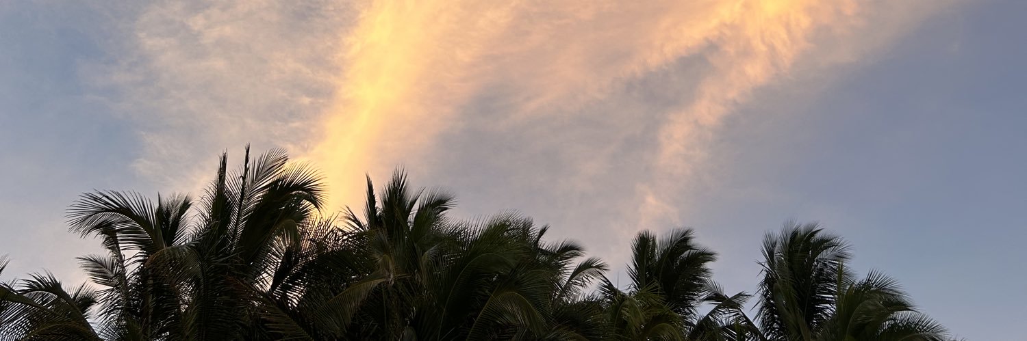 melescob's profile banner image