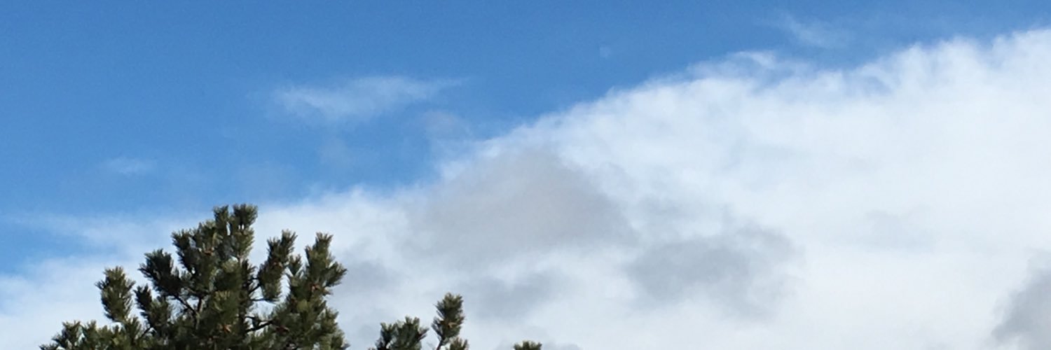 ziggyplaytwitt's profile banner image