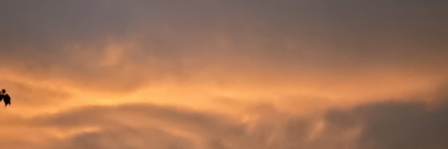Kan_nkn's profile banner image