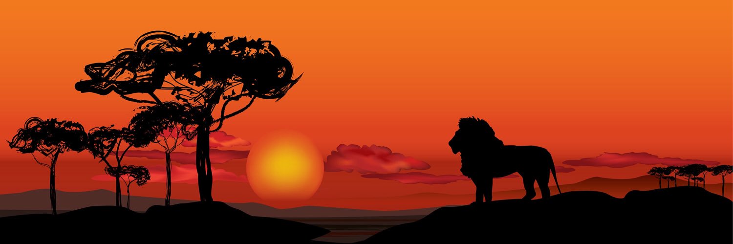 woorales's profile banner image