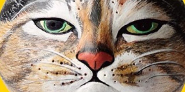junmanicast0830's profile banner image