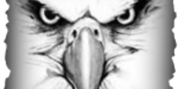 EatonPTSA's profile banner image