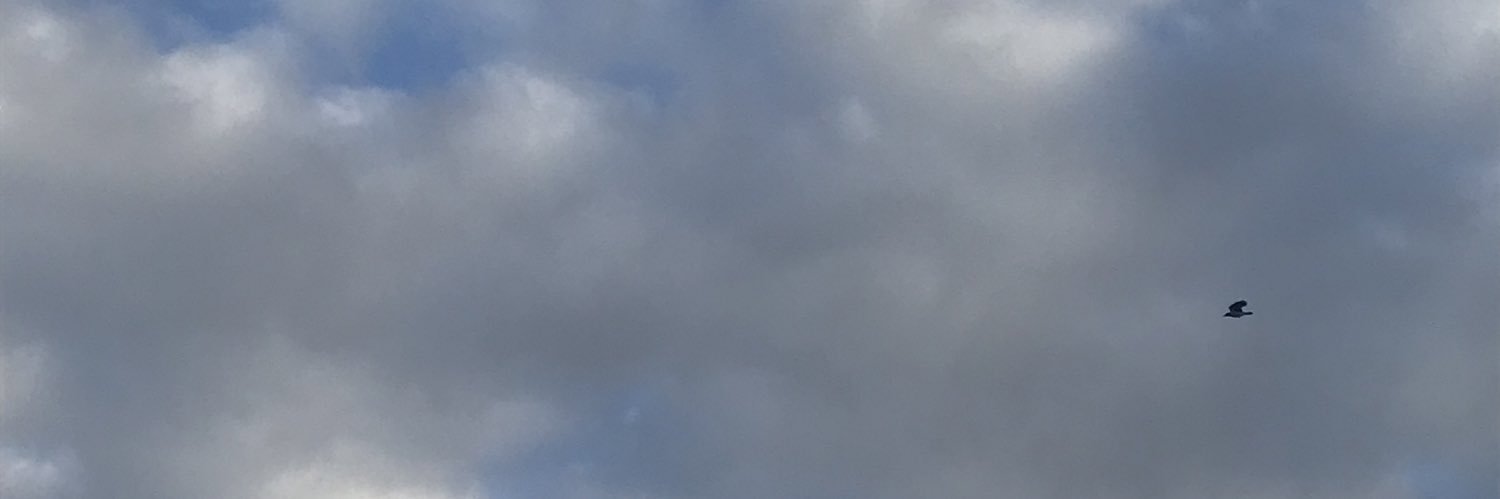 rahfo99's profile banner image
