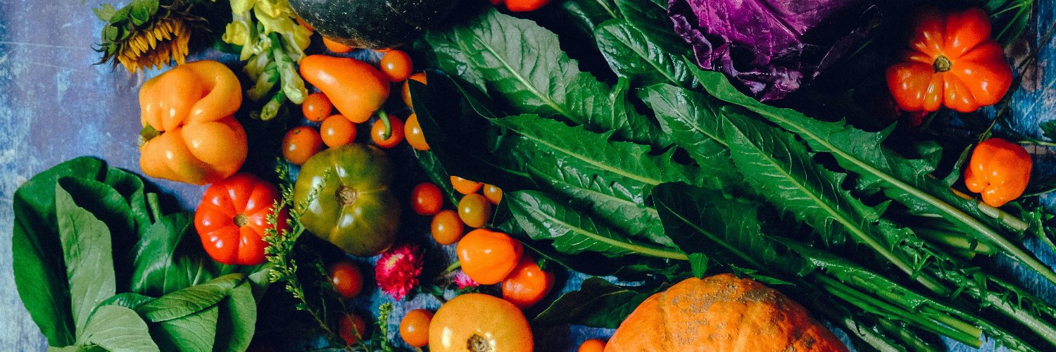 Ottawa Food Policy Council banner