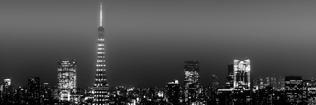 _Lmy's profile banner image