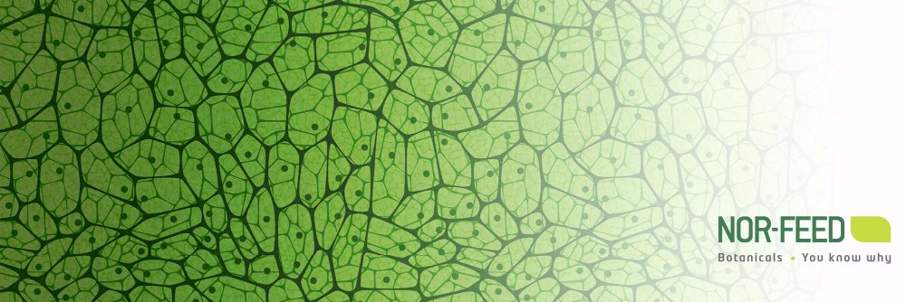 Nor-Feed banner