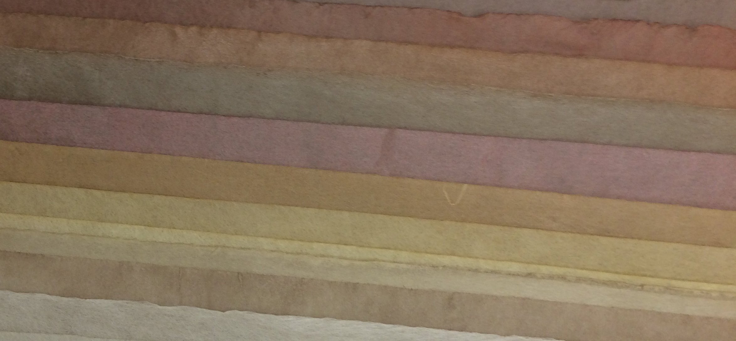 NLSColl_Care's profile banner image