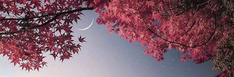 kdlangg's profile banner image