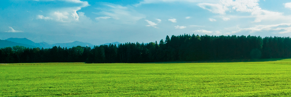 HispaVida's profile banner image