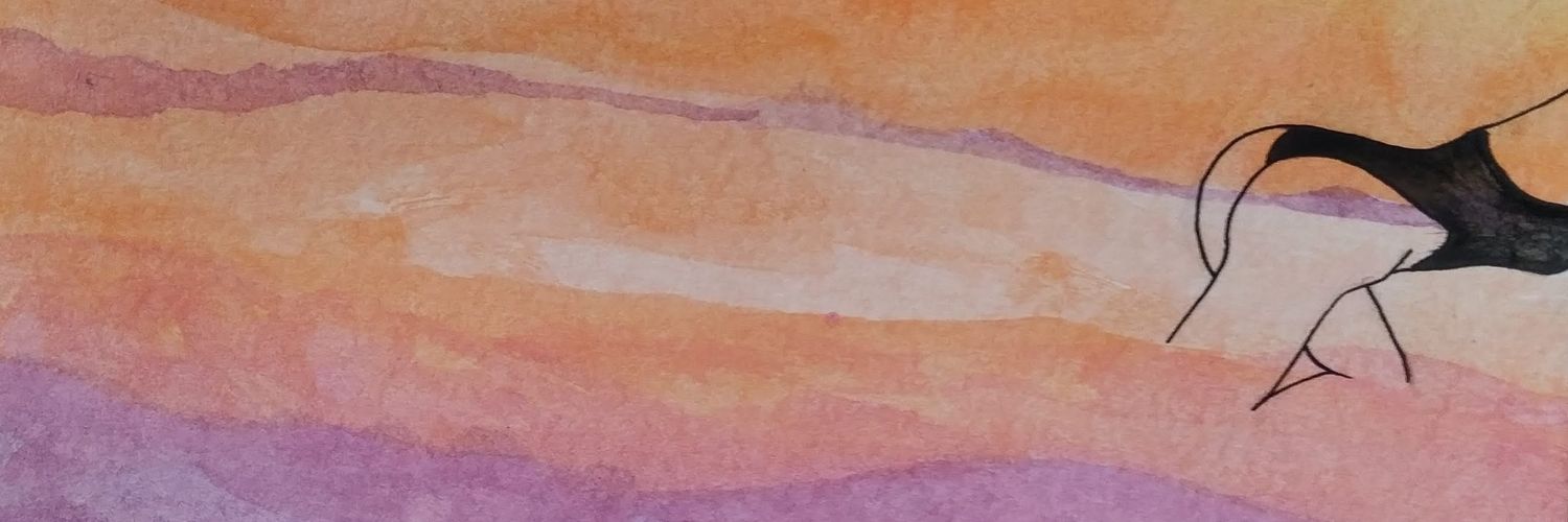 miranda🌼 banner