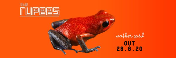 the_rupees Profile Banner