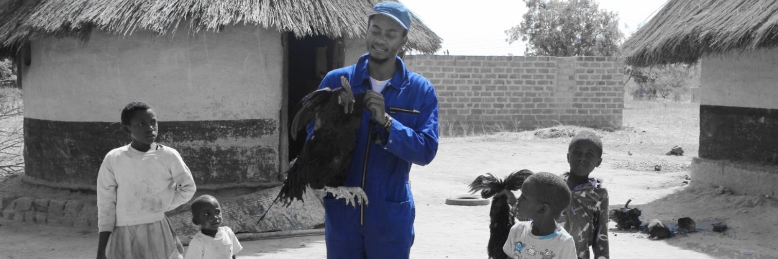 AndrewNguvu's profile banner image