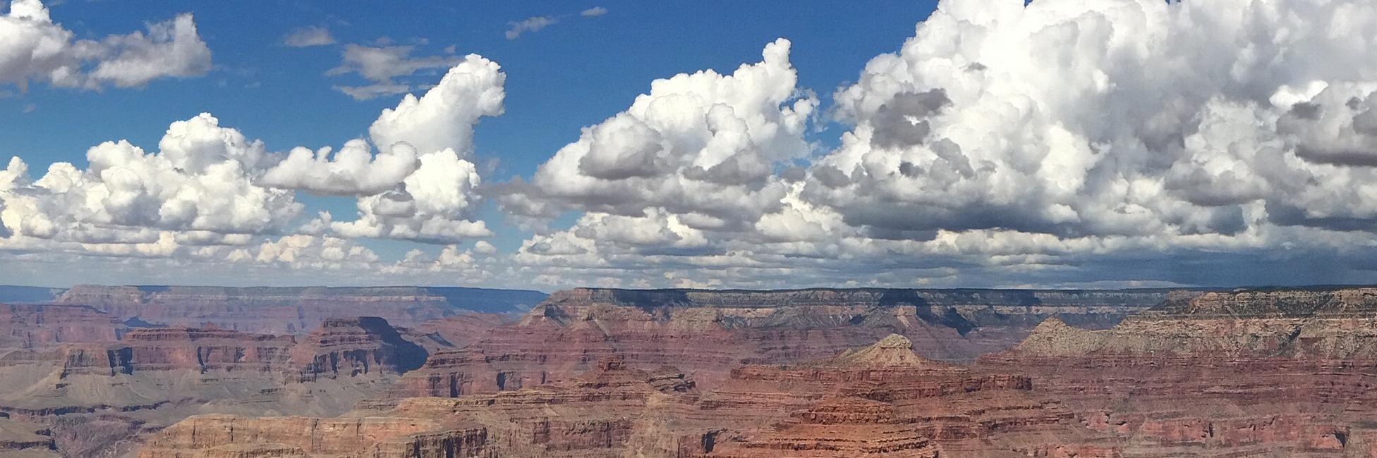 Sharon Kroon-Peters banner