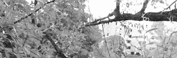 SamuelCross8's profile banner image