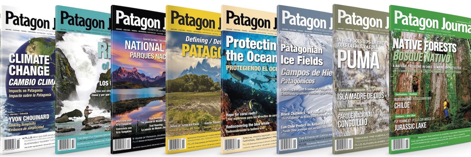 Patagon Journal banner