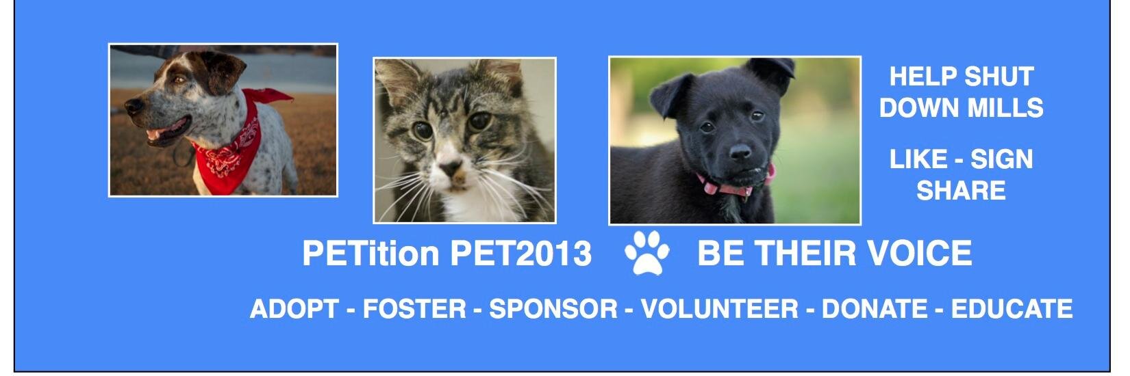 Save Shelter Animals banner