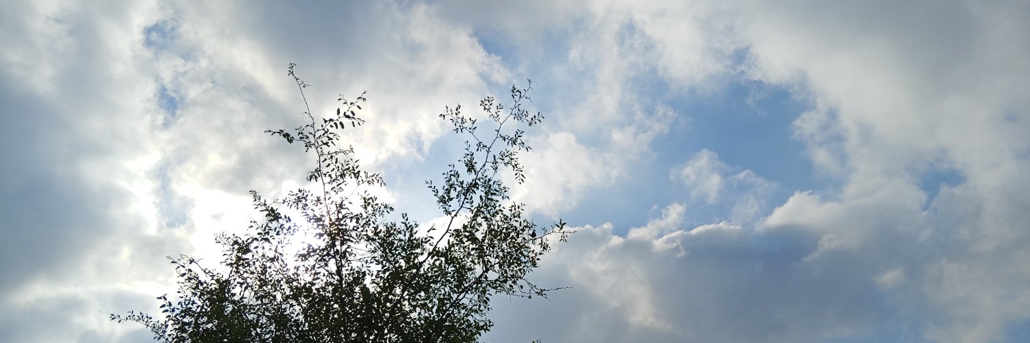 SaraAIbrahim_'s profile banner image