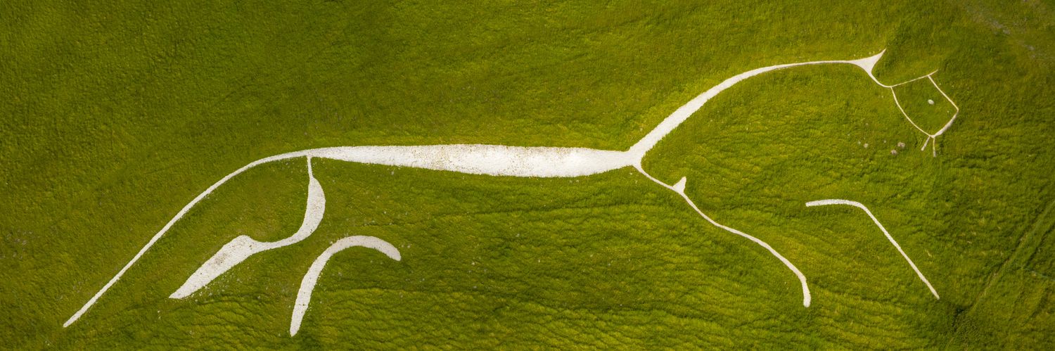 𝙃𝙚𝙙𝙡𝙚𝙮 𝙏𝙝𝙤𝙧𝙣𝙚's banner