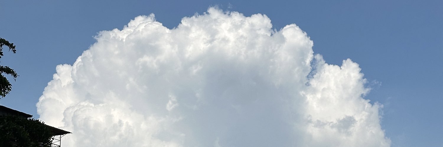 大人の玩物 banner