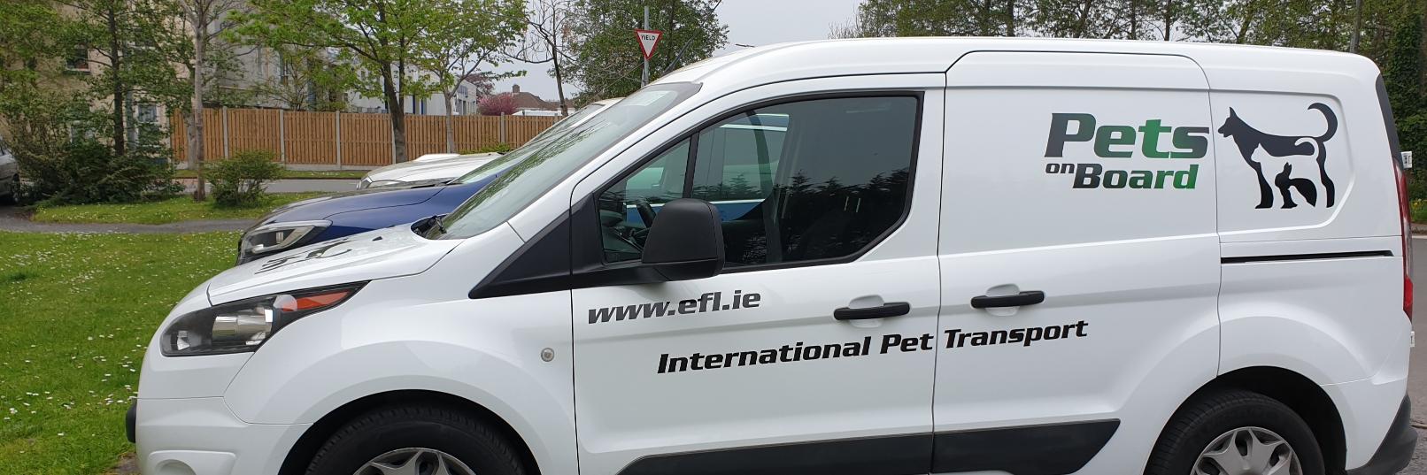 PetsonBoardIRL's profile banner image