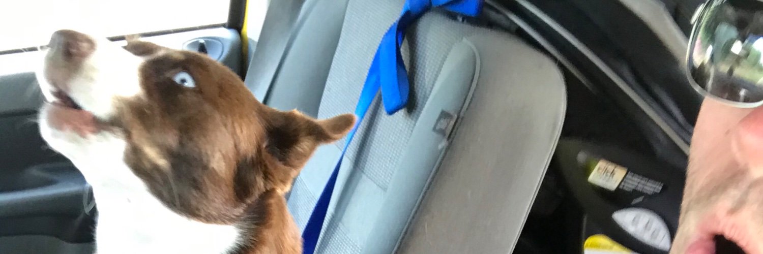 CGaleCoon's profile banner image