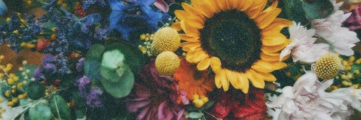 luisarodss's profile banner image