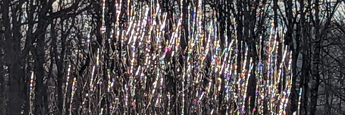 ℝ𝕖𝕓𝕖𝕔𝕔𝕒 𝔼𝕕𝕤𝕒𝕝𝕝 banner