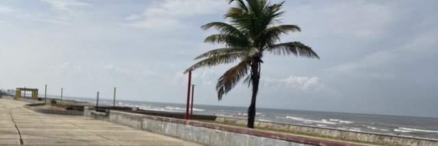 gomemata's profile banner image