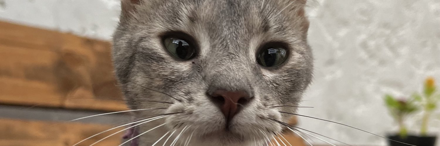 _belenborges's profile banner image