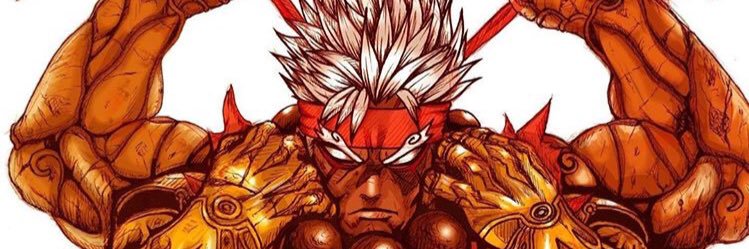 Wildbwoi's profile banner image