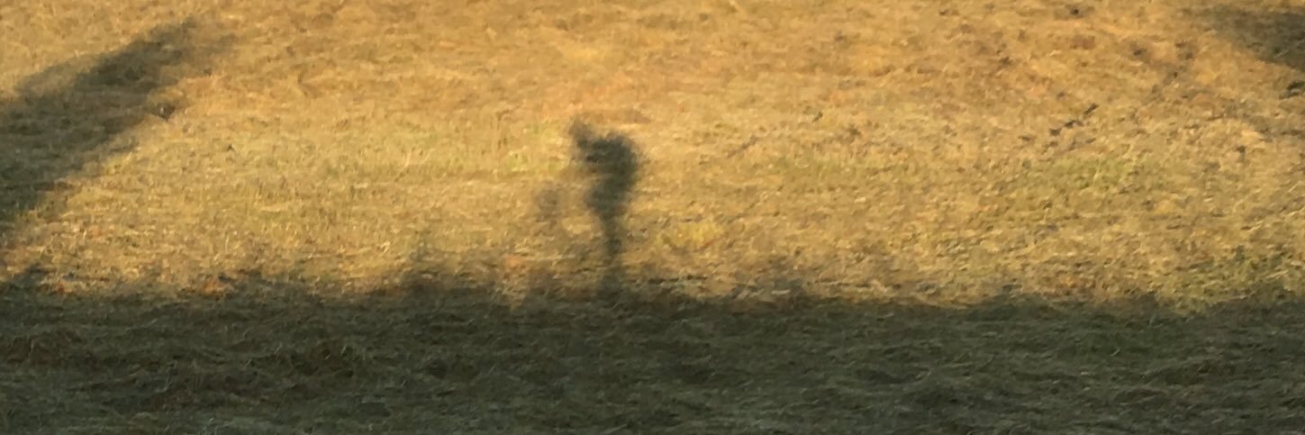 VanwindenY's profile banner image
