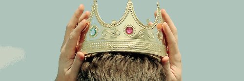 sguggianav's profile banner image