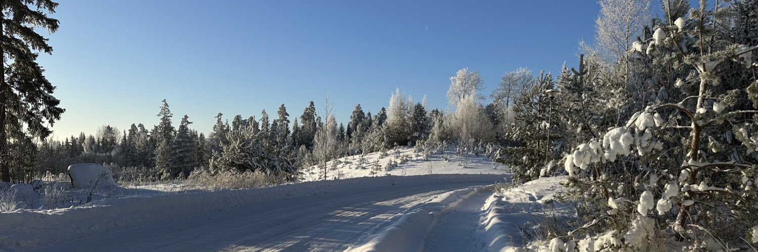 Uldis Ziediņš banner
